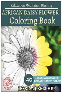 African Daisy Flower Coloring Book for Adults Relaxation Meditation Blessing
