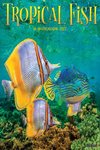 Tropical Fish 2023 Wall Calendar