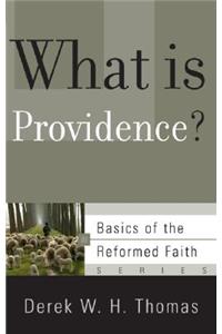 What Is Providence?