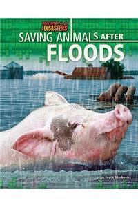 Saving Animals After Floods