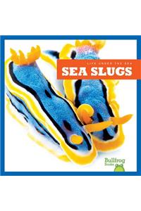 Sea Slugs