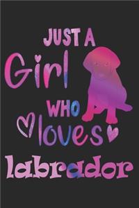 Just a Girl Who Loves Labradors - Labrador Gift Notebook/Journal 6x9 100 Pages
