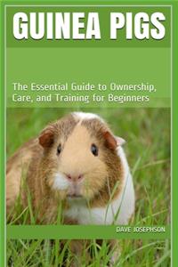 Guinea Pigs: The Essential Guide to Ownership, Care, and Training for Beginners