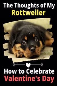 Thoughts of My Rottweiler