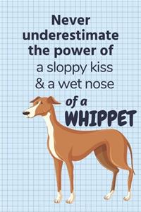 Never underestimate the power of a sloppy kiss & a wet nose of a Whippet
