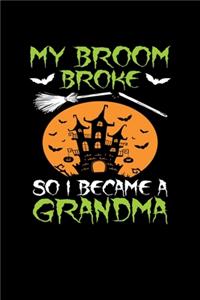 My Broom Broke So I Became a Grandma