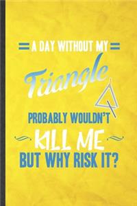A Day Without My Triangle Probably Wouldn't Kill Me but Why Risk It