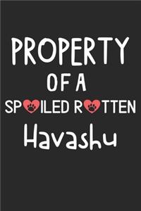 Property Of A Spoiled Rotten Havashu