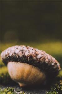 Acorn Nut - Lined Notebook with Margins - 6X9