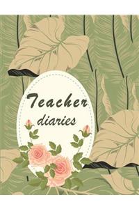 Teacher diaries