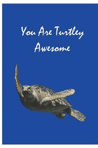 You Are Turtley Awesome