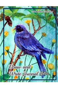 Draw and Write Journal Notes