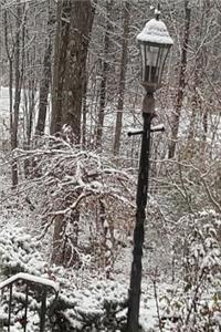 2019 Daily Planner Winter Scene Snow Dusting 384 Pages