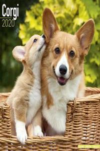 Corgi Calendar 2020