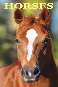 HORSES SLIM D 2019