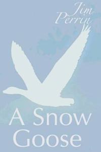 Snow Goose