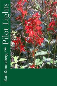 Pilot Lights
