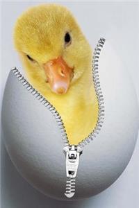 Zip the Chick Journal