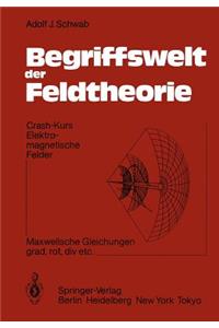 Begriffswelt Der Feldtheorie: Crash-Kurs Elektromagnetische Felder Maxwellsche Gleichungen; Grad, Rot, DIV Etc.