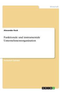 Funktionale und instrumentale Unternehmensorganisation