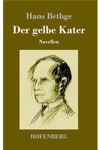 gelbe Kater