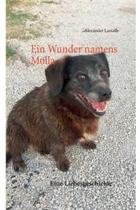 Wunder namens Molla