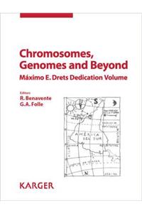 Chromosomes, Genomes and Beyond