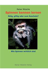 Spinnen Kennen Lernen
