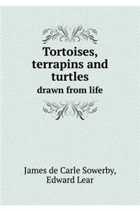 Tortoises, Terrapins and Turtles Drawn from Life