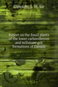 Report on the fossil plants of the lower carboniferous and millstone grit formations of Canada