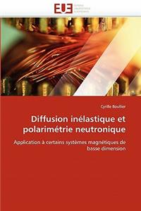 Diffusion In?lastique Et Polarim?trie Neutronique