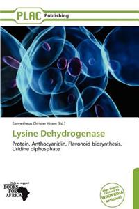 Lysine Dehydrogenase