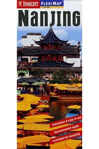 Nanjing Insight Flexi Map