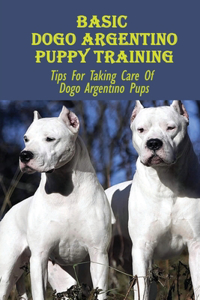 Basic Dogo Argentino Puppy Training