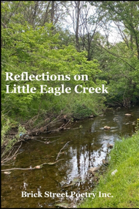 Reflections on Little Eagle Creek