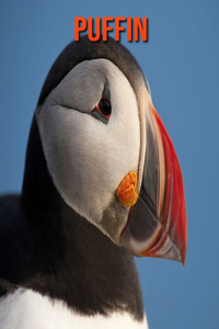 Puffin