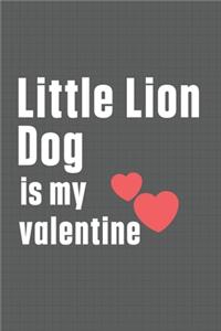 Little Lion Dog is my valentine