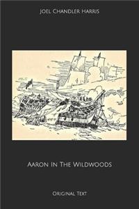 Aaron In The Wildwoods