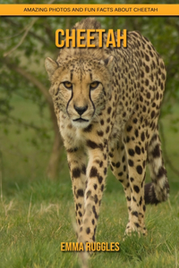 Cheetah