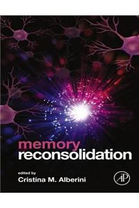 Memory Reconsolidation