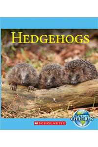 Hedgehogs
