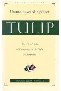 Tulip