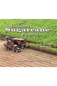 Louisiana Sugarcane Pictorial