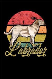 Labrador