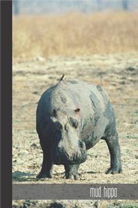 Mud Hippo
