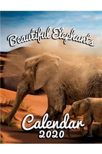 Beautiful Elephants Calendar 2020