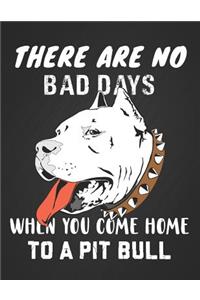 There Are No Bad Days When You Come Home to a Pit Bull