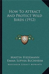 How To Attract And Protect Wild Birds (1912)