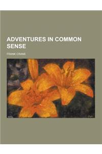 Adventures in Common Sense