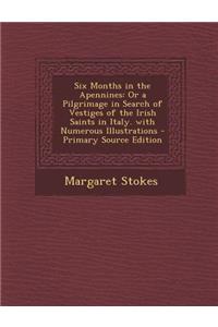 Six Months in the Apennines: Or a Pilgrimage in Search of Vestiges of the Irish Saints in Italy. with Numerous Illustrations